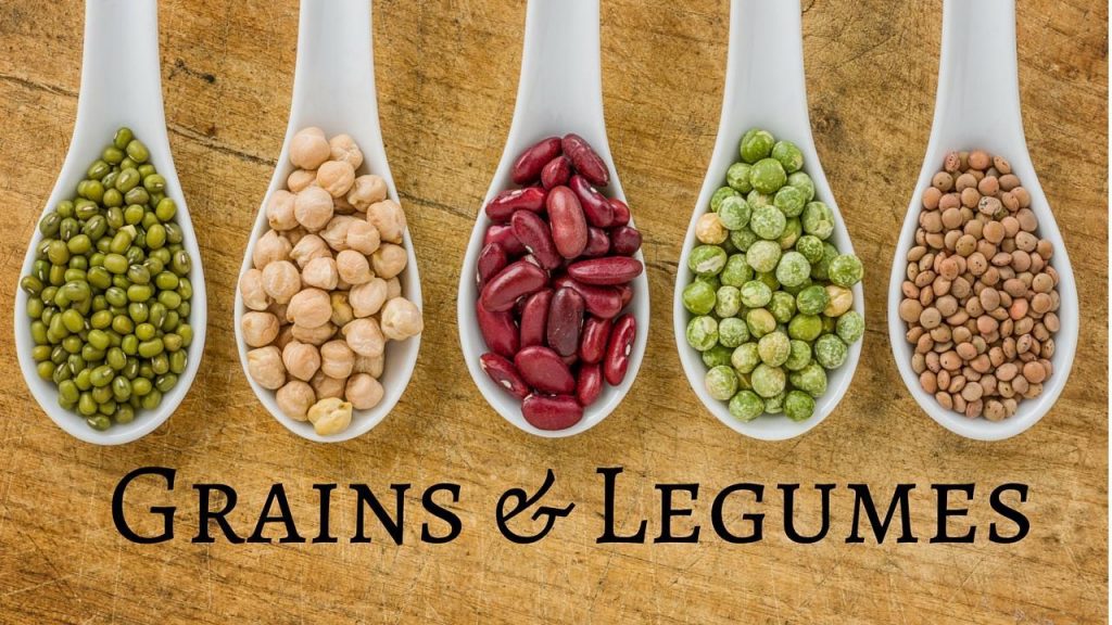 Legumes or grains