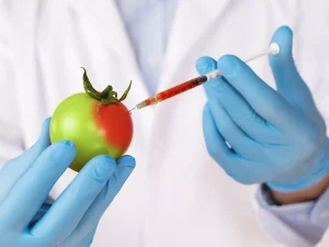 Benefits And Risks Of Genetically Modified Foods - 4 Best Notes For User