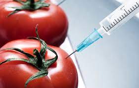 Benefits And Risks Of Genetically Modified Foods - 4 Best Notes For User