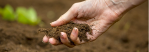 Control of soil erosion-8 best benefits of eating organic foods