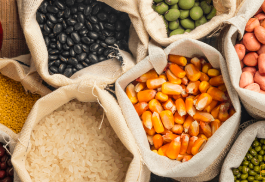 Unlocking Benefits of eating nutrient-dense foods