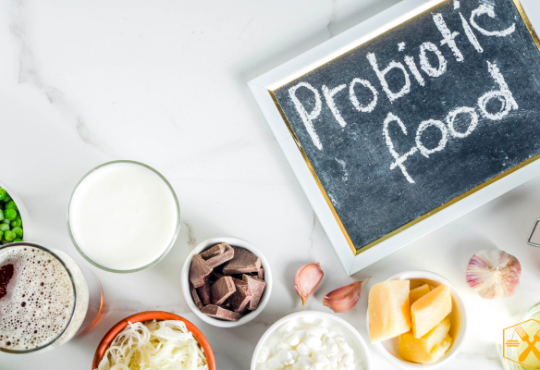 Exploring the Health Benefits of Probiotic Foods
